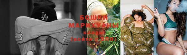 твердый Барнаул